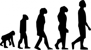 evoluzione-uomo