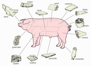 I Tagli di carne del maiale